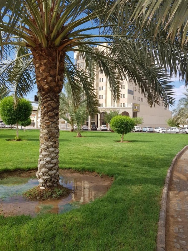 Ewan Dar Alhejra Hotel image 13